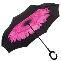 Printed Reversible Umbrella