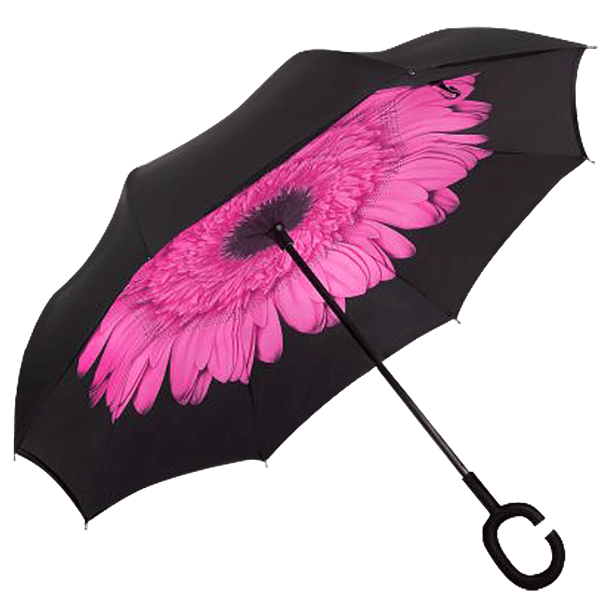 Printed Reversible Umbrella
