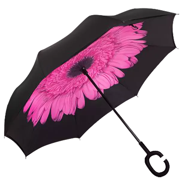 Printed Reversible Umbrella