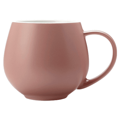Tint Snug Mug 450ml
