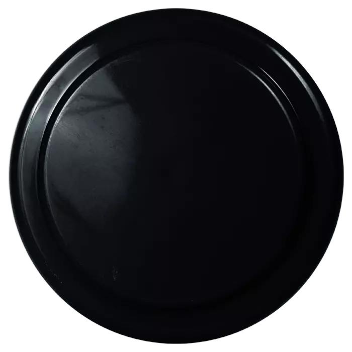 Frisbee Vanessa