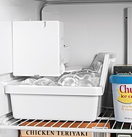 GE® GIE18GSNRSS ENERGY STAR® 17.5 Cu. Ft. Top-Freezer Refrigerator