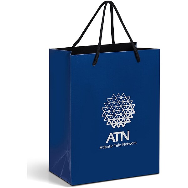 Altitude Dazzle Mini Paper Gift Bag