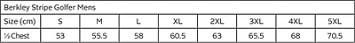 Berkley Stripe Golfer Mens