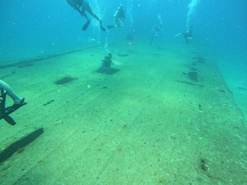Fun Dive