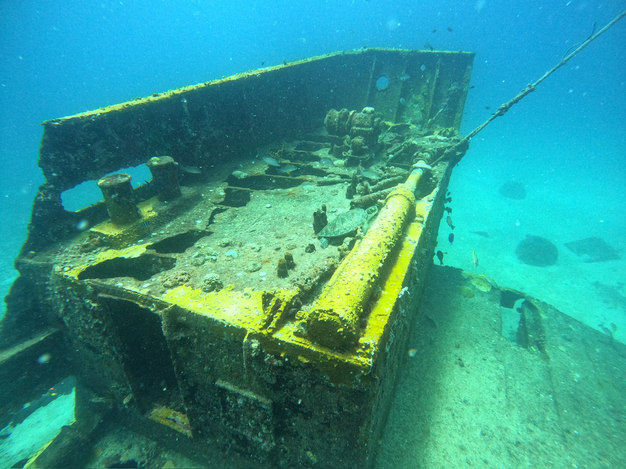 Advanced Open Water Couse