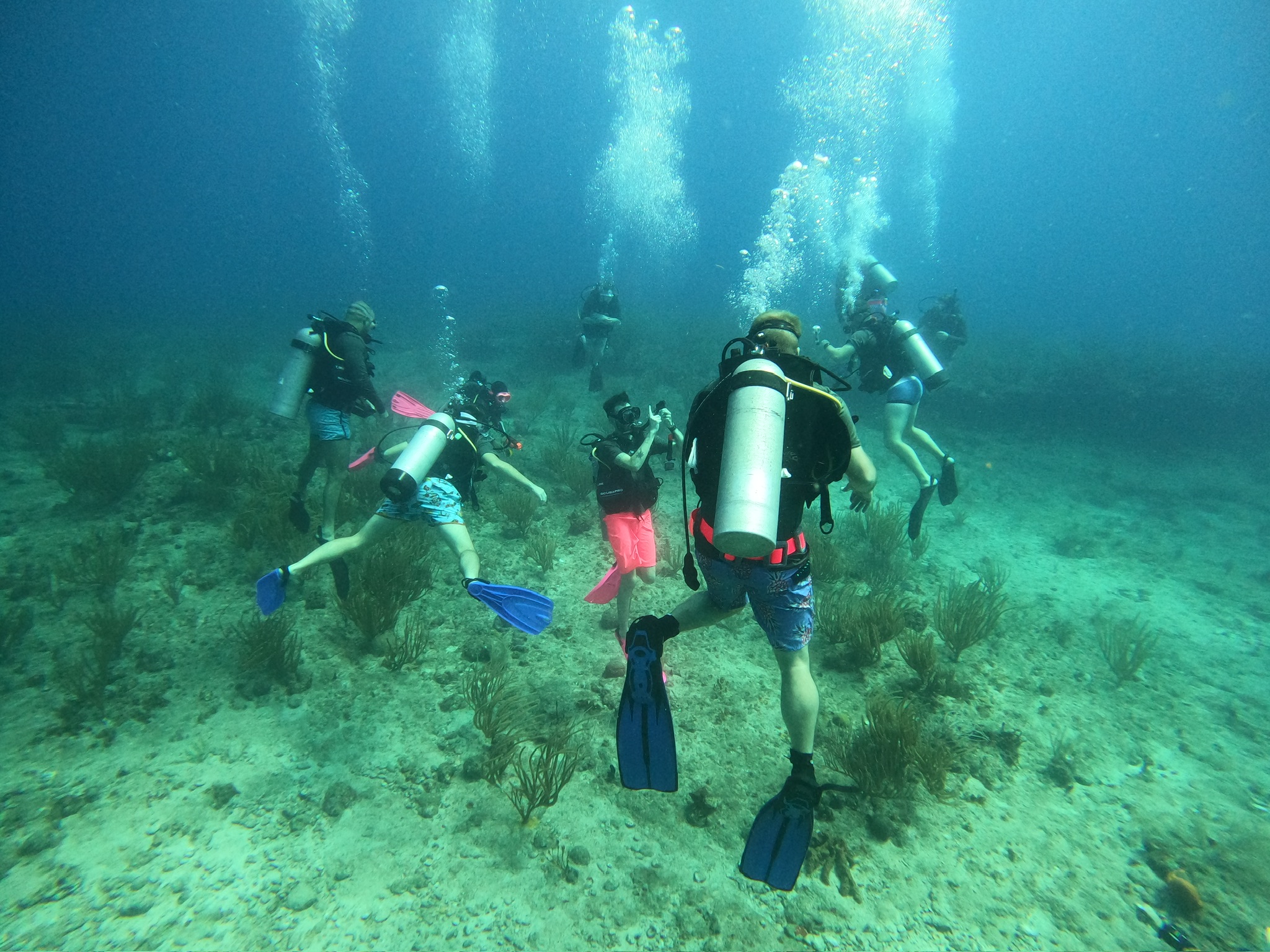 Fun Dive