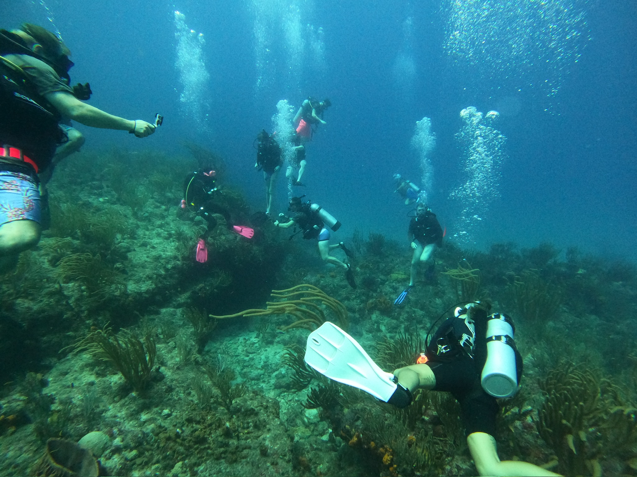 Advanced Open Water Couse