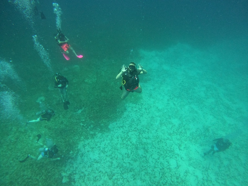 Fun Dive