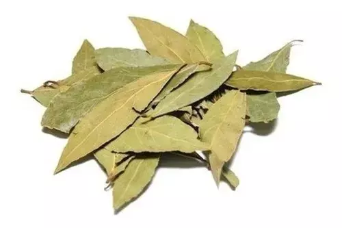 GRANEL HOJA DE LAUREL