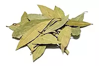 GRANEL HOJA DE LAUREL