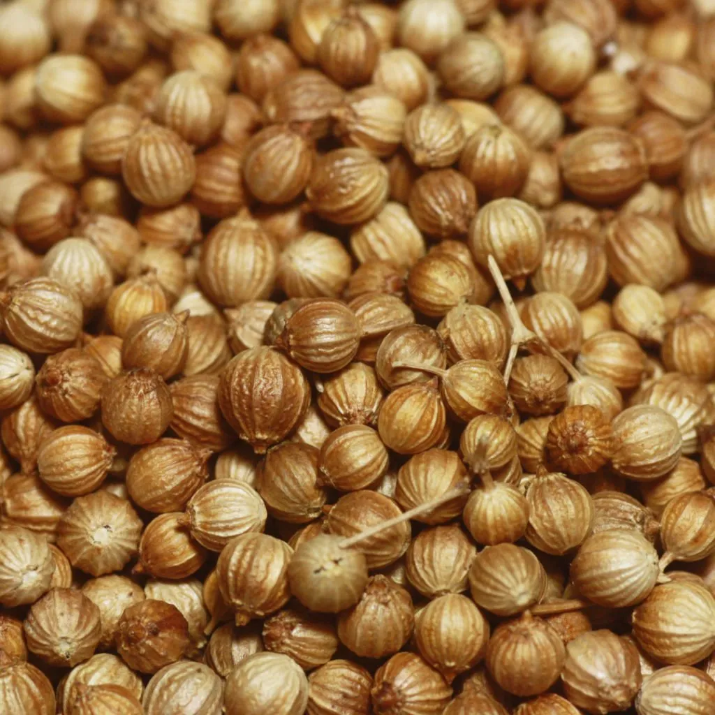 GRANEL SEMILLA DE CILANTRO 250 GR