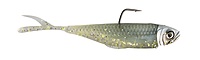 Z-Man Graph Shad