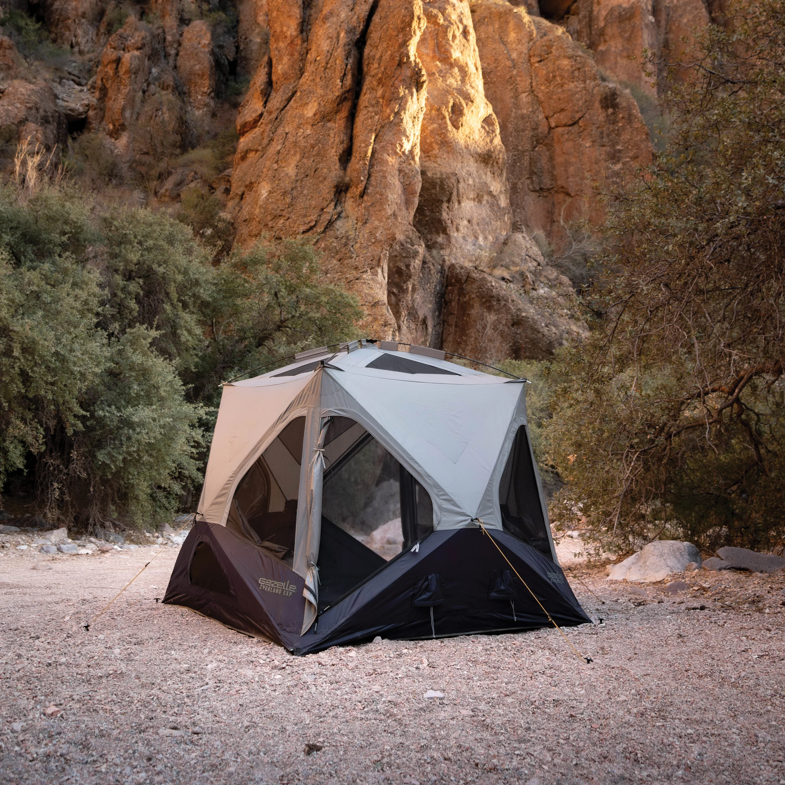 Gazelle T4 Overland EXP