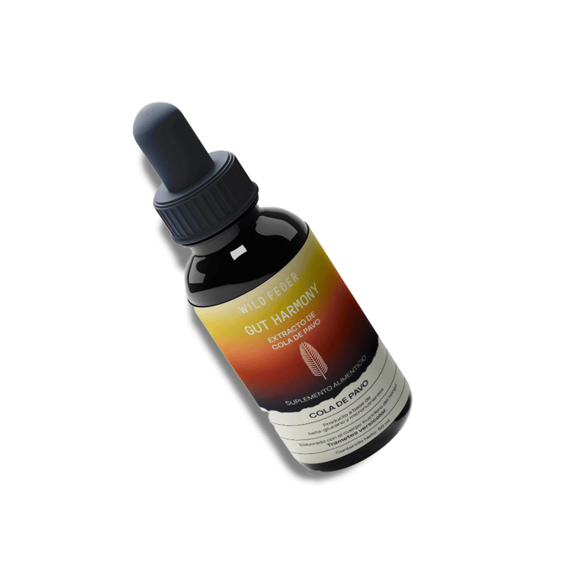 TINTURA WF GUT HARMONY 60ML