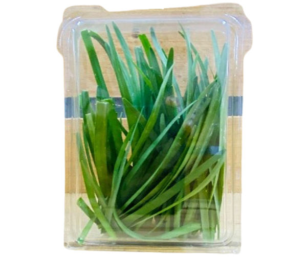 Garlic Chives 30grams