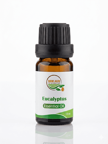 BBM Eucalyptus Oil 10ML