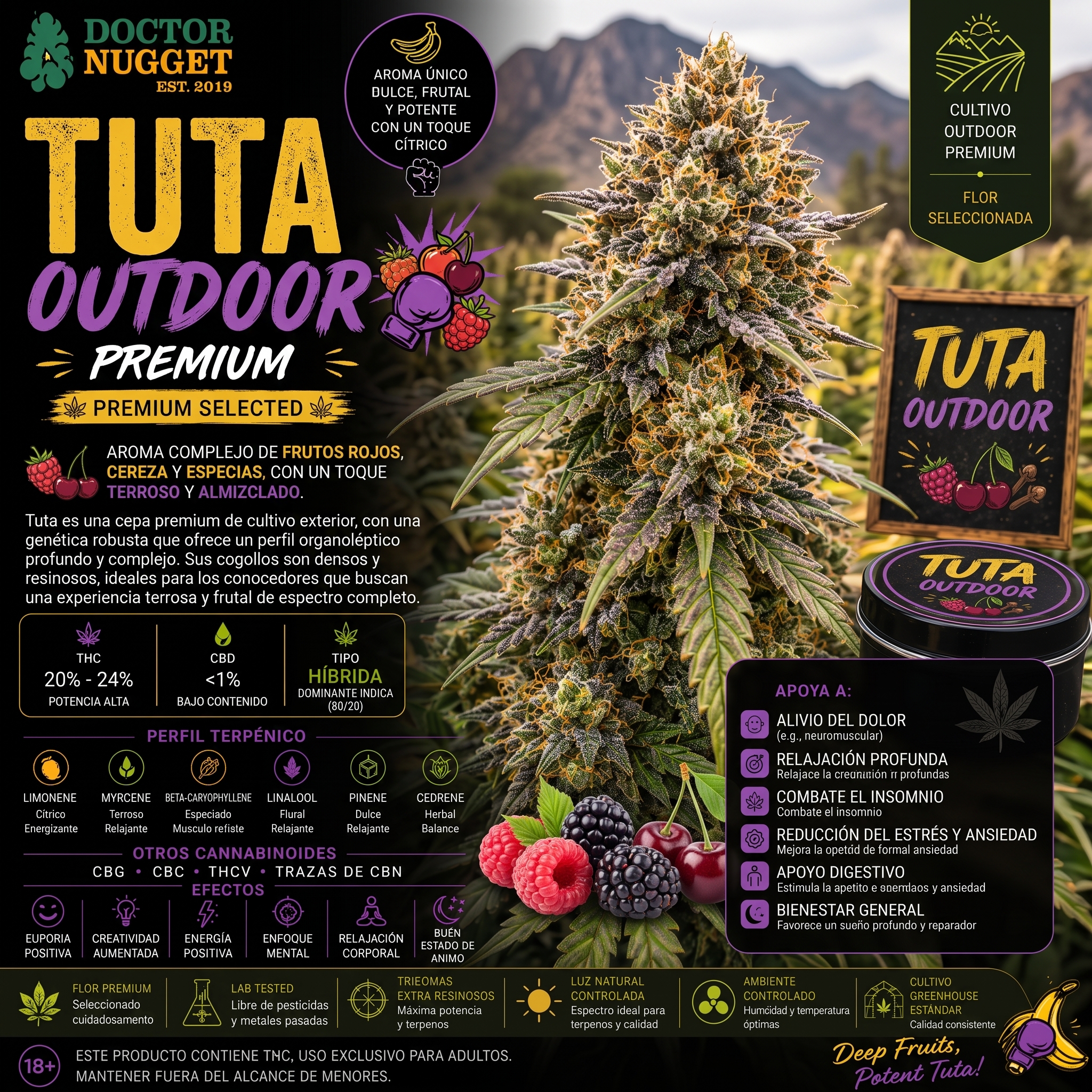 Dr. Nugget Tuta Outdoor THC Flor