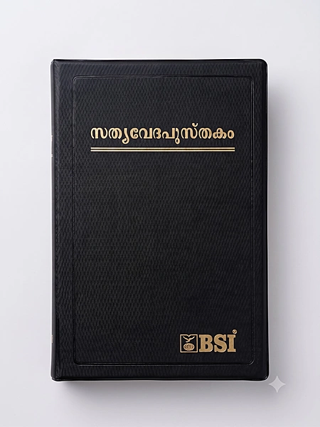 Demi Normal Open Malayalam
