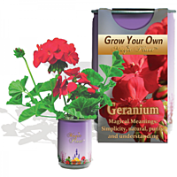 Geranium Flower Growing Kit