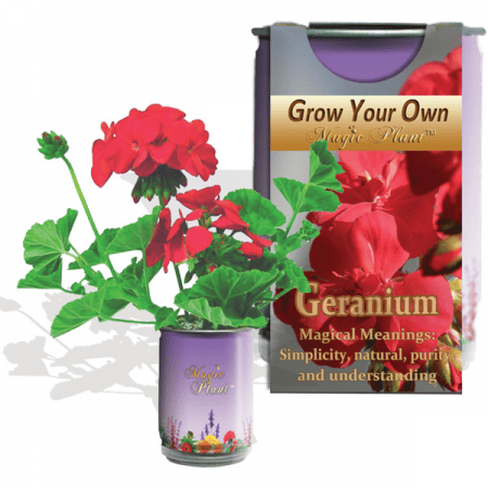 Geranium Flower Growing Kit