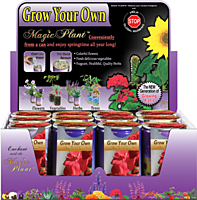Geranium Flower Growing Kit
