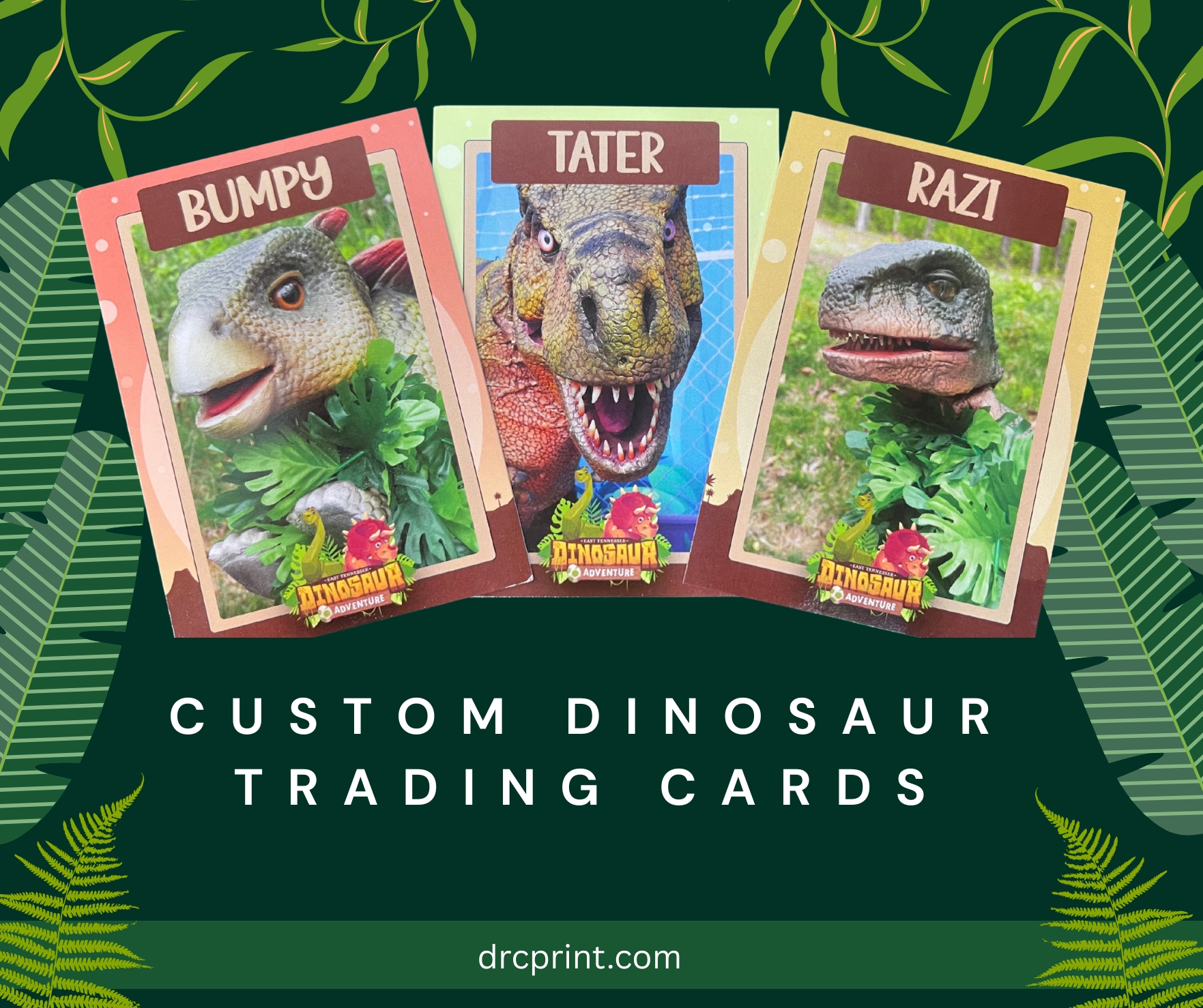 Custom Dinosaur Trading Cards