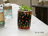 Red Ghost Chili Pepper Growing Kit