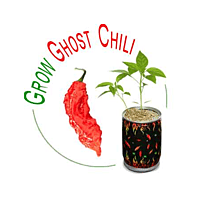 Red Ghost Chili Pepper Growing Kit