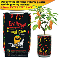 Orange Ghost Chili Growing Kit