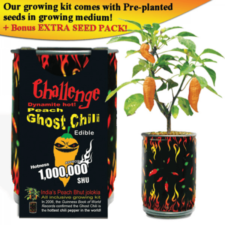 Orange Ghost Chili Growing Kit