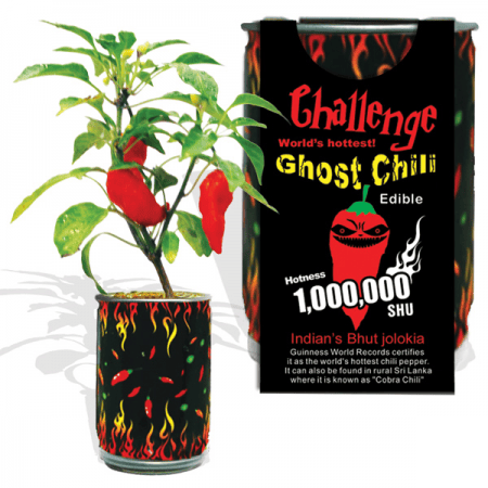 Red Ghost Chili Pepper Growing Kit