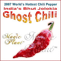 Red Ghost Chili Pepper Powder