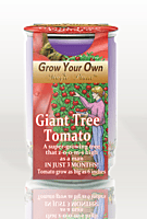 Giant Tree Tomato Vegetables Growing Kit