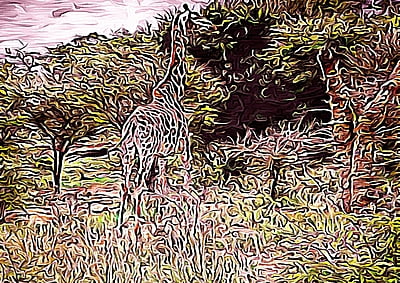 Giraffe Away Giraffe Away