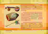 Glimpses of Excellence - In Ancient India Glimpses of Excellence - In Ancient India