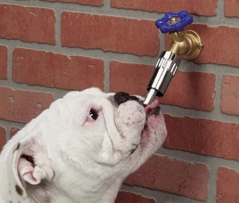 Bebedero Automatico Para Llave De Agua Para Mascotas