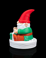 Gnome Surprise