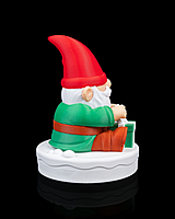 Gnome Surprise