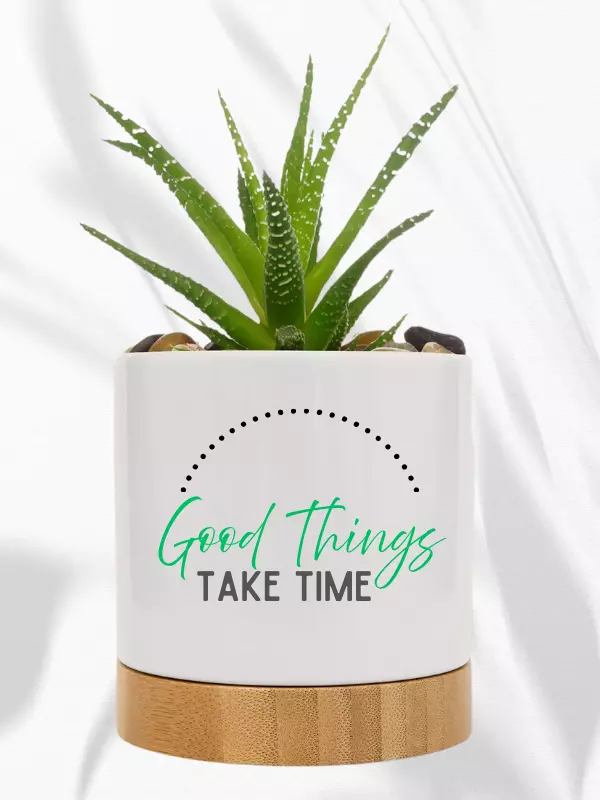 Ceramic Pot with Bamboo Tray