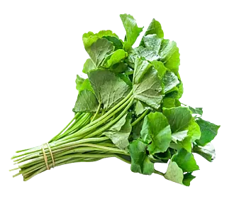 Gotukola (200gm)