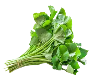 Gotukola (200gm)