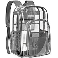 Gray Transparent Backpack