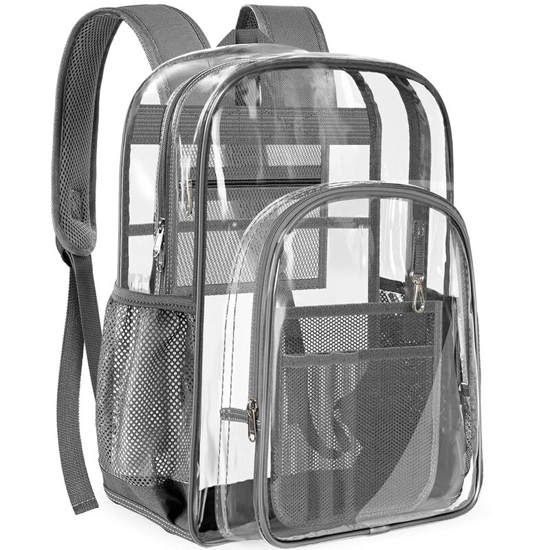 Gray Transparent Backpack