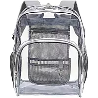 Gray Transparent Backpack