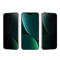 Green Lion Picasso 3D Privacy Glass with Alignment Tray for iPhone 17 Series - Black Edge/Privacy