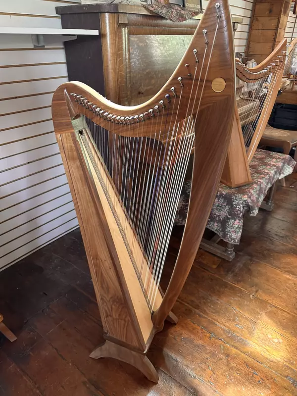 Lorraine 29 (G-G), D, Walnut, Camac, 9595