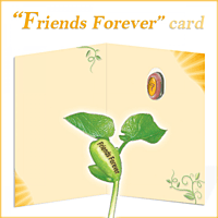 NG Card Friends Forever