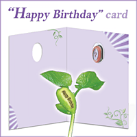 NG Card Happy Birthday