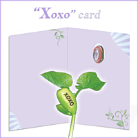 NG card XOXO